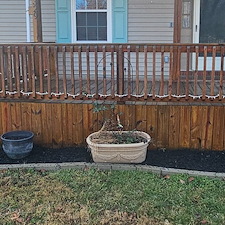 Deck-Cleaning-and-Restoration-in-Lewisburg-TN 1